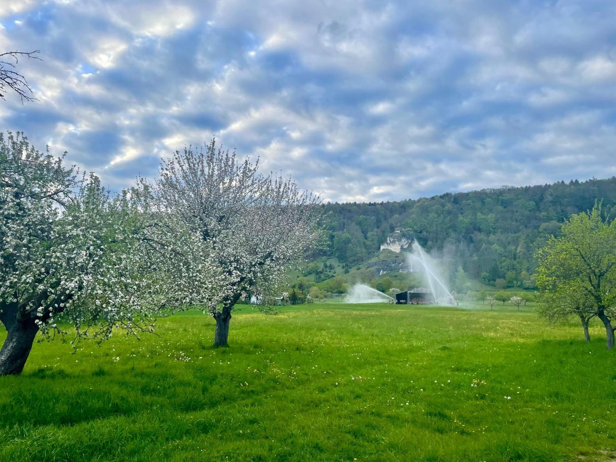 Roemercastell Wirtshaus & Hotel Bohming Dış mekan fotoğraf